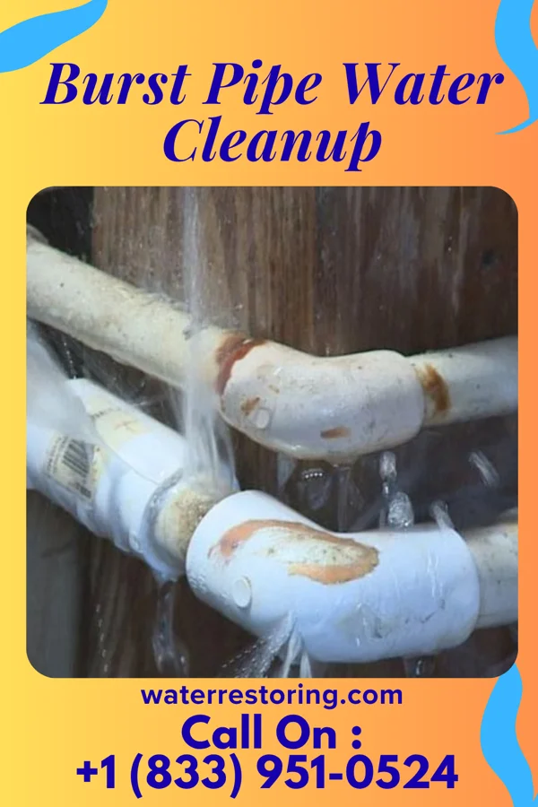Burst Pipe Water Cleanup in Arp, TX